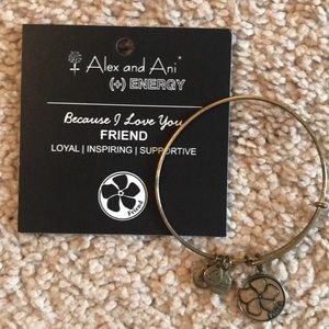 Alex and Ani charm bracelet